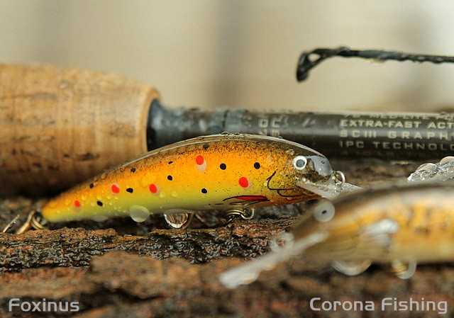 jaki wobler na pstrąga